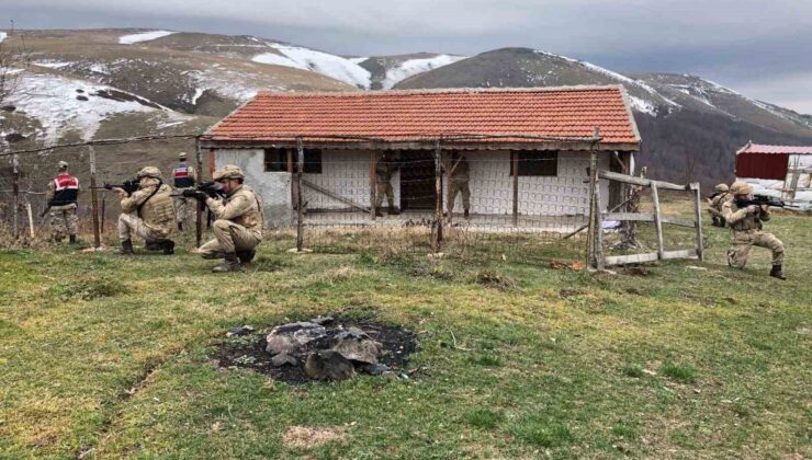 Amasya’da jandarma komandolardan yayla evlerine huzur operasyonu