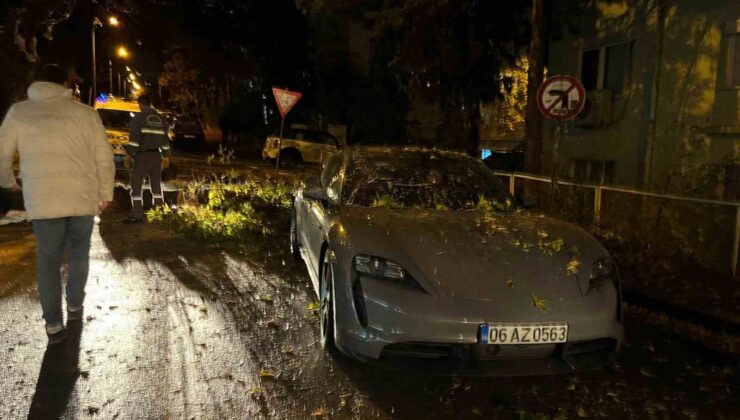 Ankara’da şiddetli rüzgarda kırılan ağaç dalı lüks otomobilin üzerine düştü