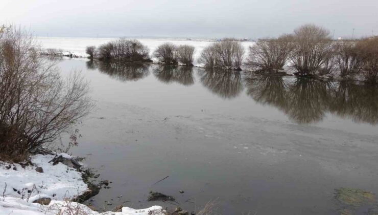 Ardahan’da Kura Nehri’nin yüzeyi kısmen dondu