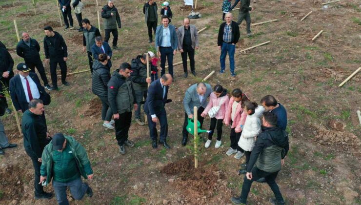 Artvin’de ‘Milli Ağaçlandırma Günü’ etkinlikleri kapsamında 100 bin adet fidan toprakla buluşturuldu