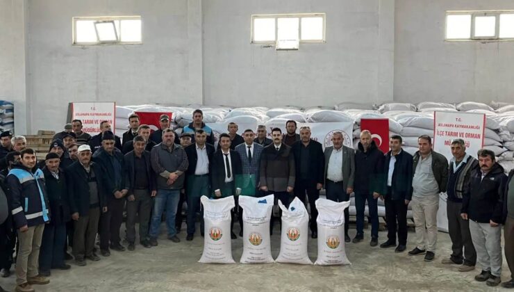 Aslanapa’da 386 çiftçiye yüzde 50 hibeli 65 ton 550 kilo buğday tohumu dağıtıldı