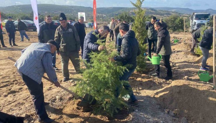 Ayvacık’ta 600 fidan toprakla buluştu