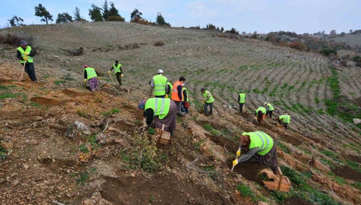 Balıkesir’de orman köylüsü bildiği işle kalkındırılıyor