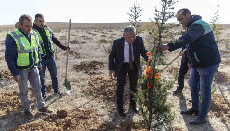 Başkan Büyükkılıç ile Kayseri’de 5 yılda 549 bin 735 adet ağaç ve çalı toprakla buluştu