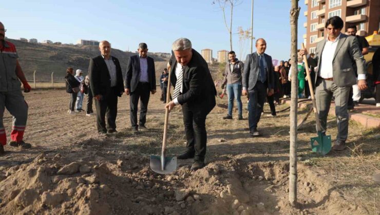 Başkan Palancıoğlu: “Fidan değil ağaç dikiyoruz”