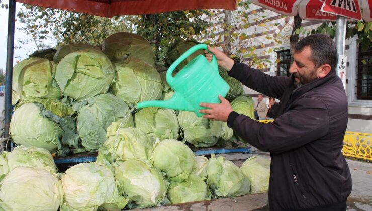 Bayburt’ta organik tarımla üretilen organik lahanalar tezgahta yerini aldı