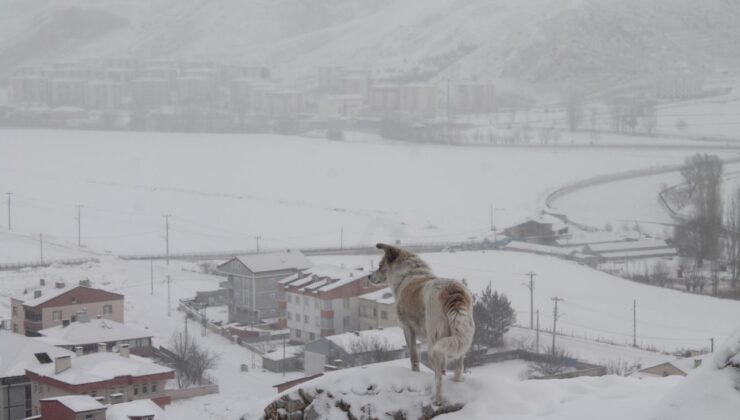 Bayburt’un yüksek kesimlerinde kar yağışı etkili oldu