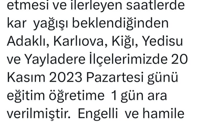 Bingöl’ün 5 ilçesinde okullar tatil edildi