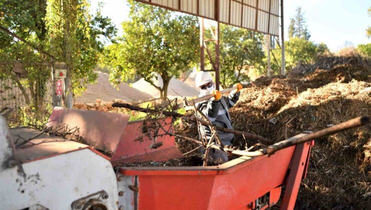 Bitki atıkları vatandaşlar ve çiftçilere yakıt olarak dönecek