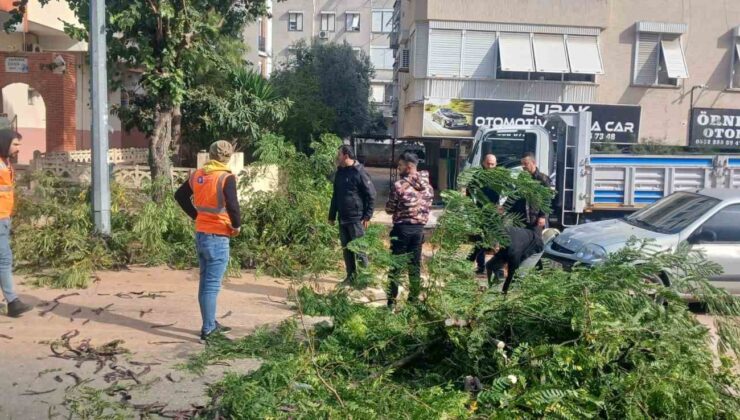 Büyükşehir ekiplerinin fırtına mesaisi