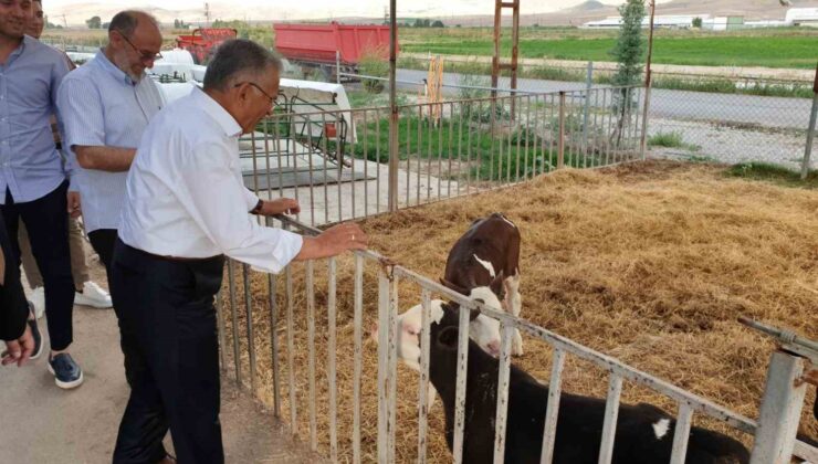 Büyükşehir’den Tarım Ve Hayvancılığa 5 Yılda Yaklaşık 500 Milyon TL’lik Yatırım