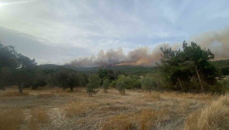 Çanakkale’deki orman yangını devam ediyor