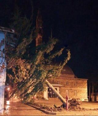 Çankırı’da şiddetli fırtına ağacı kökünden söktü