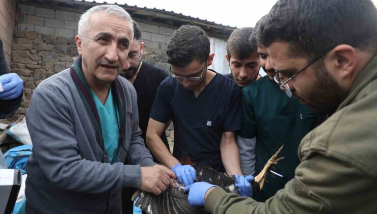 Diyarbakır’da veteriner hekim adayları saha çalışmalarına katıldı