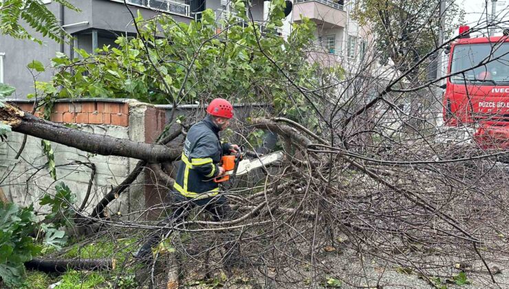 Düzce’de fırtına ile mücadele devam ediyor