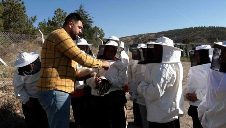 Ekolojik Köy’de arıcılık eğitimi