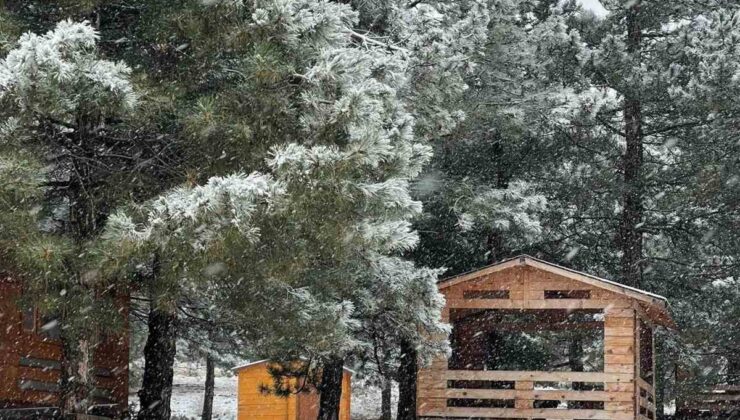 Elazığ’a mevsimin ilk karı düştü