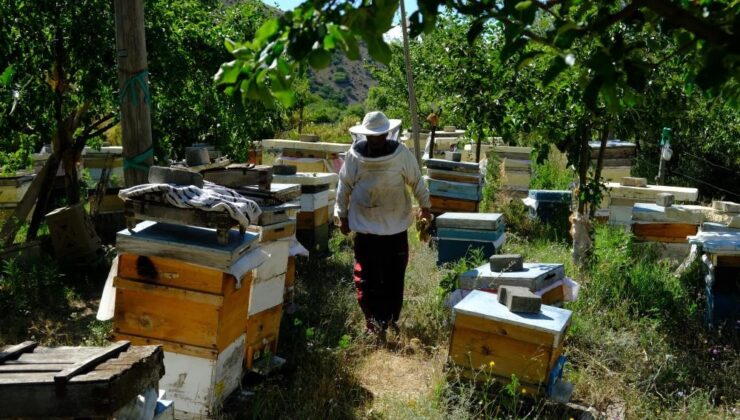 Erzincan’da arıların “tatlı uykusu” başlıyor