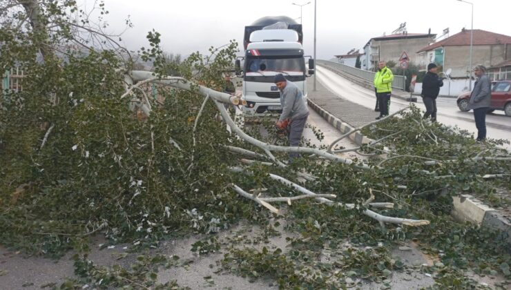 Fırtına Alaşehir’de hayatı olumsuz etkiledi