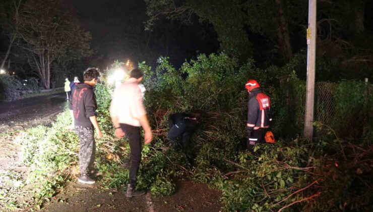 Fırtına, Sakarya’nın turistik ilçesini yıktı geçti