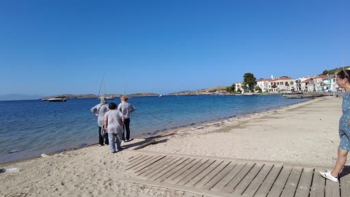 Foça plajlarında denizanası istilası: Yüzlercesi kıyıya vurdu