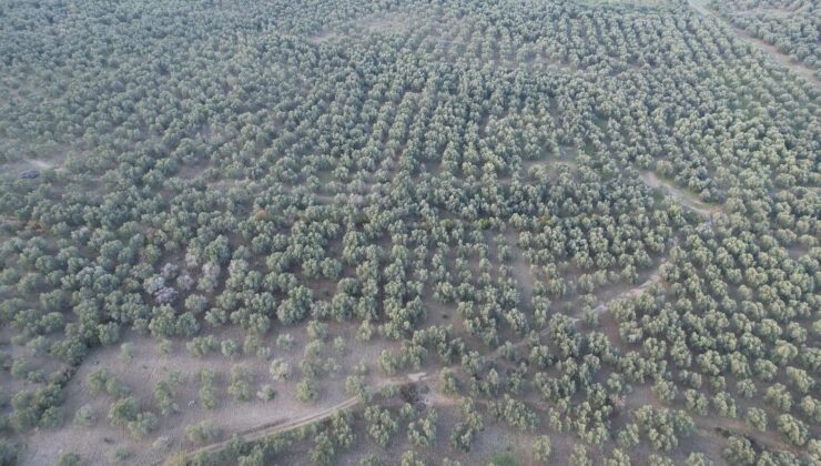 Havran İlçe Tarım’da dron dönemi