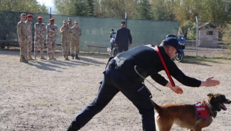 JAKEM köpekleri hünerlerini Katarlı askerler için sergilediler