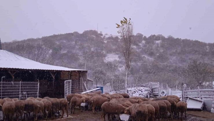 Kar, Balkanlar’dan Edirne’ye giriş yaptı: Sınır köyleri beyaza büründü