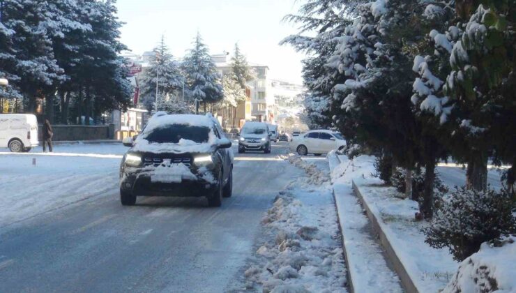 Kar yağışı Ahlat’ı beyaza bürüdü