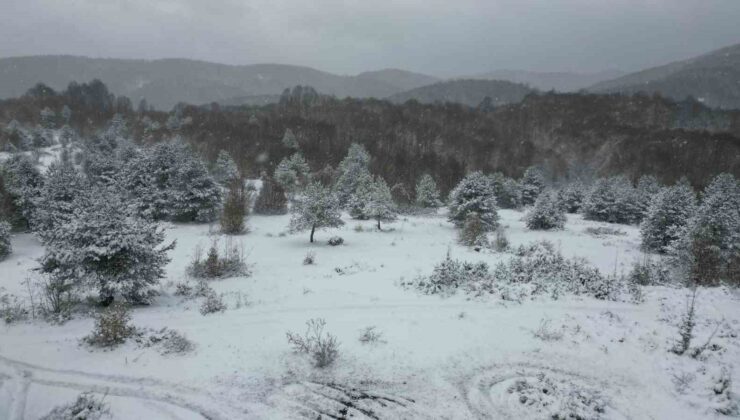 Kocaeli’nin dağlarına lapa lapa kar yağıyor