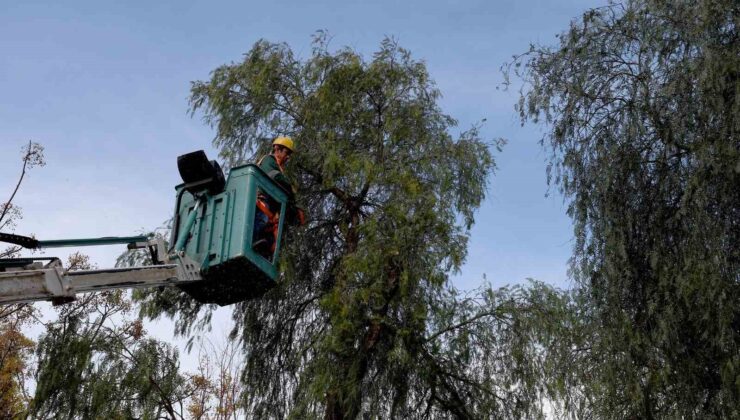 Kuşadası’nda ağaç atıkları yakıta dönüşüyor