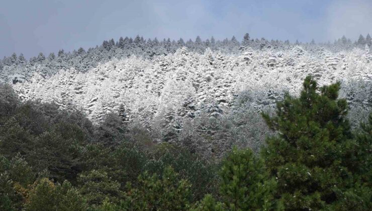 Kuzey Ege’de mevsimin ilk karı yağdı