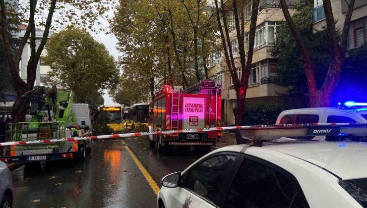 Maltepe’de ağacın otomobilin üstüne düşmesi kamerada