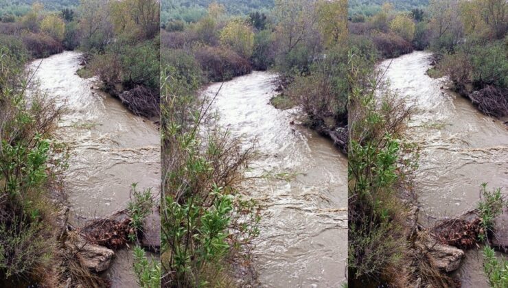 Milas’taki Hamzabey Çayı, eski günlerine geri döndü