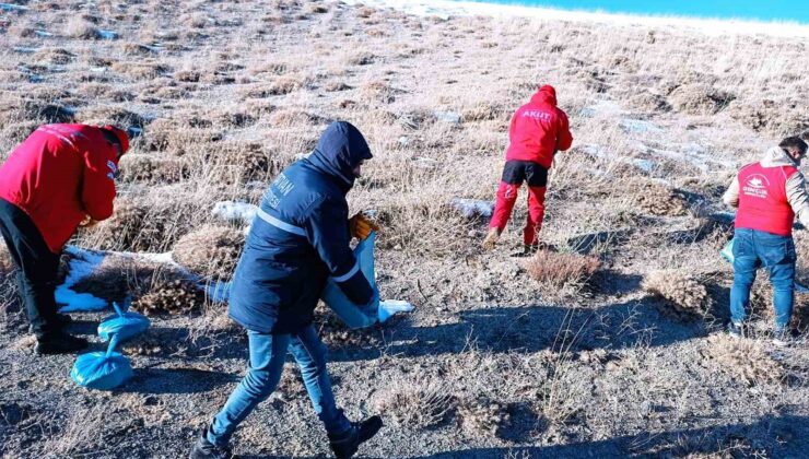 Nemrut Kalderası’ndaki yaban hayvanları için yem bırakıldı