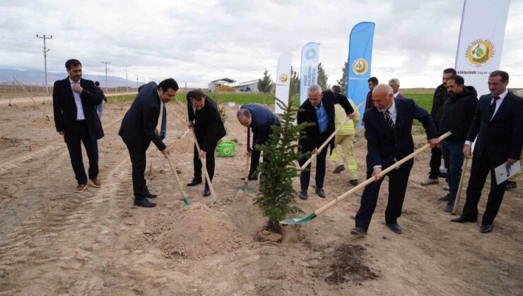 Niğde’de bal ormanı kuruldu