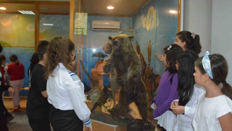 Öğrenciler Doldurulmuş Hayvan Müzesini ilgi ile gezdi