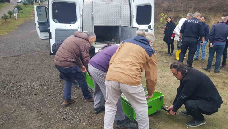 Öğretim üyesi hobi bahçesinde ölü bulundu