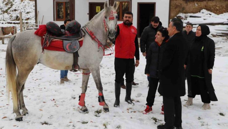 Öğretmenler at çiftliğini ziyaret etti