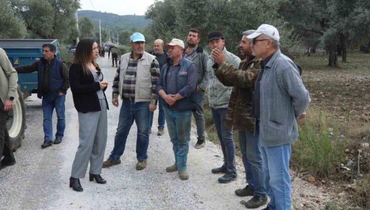 Selçuk’ta zarara uğrayan üzüm üreticilerine 500 ton kompost gübre desteği