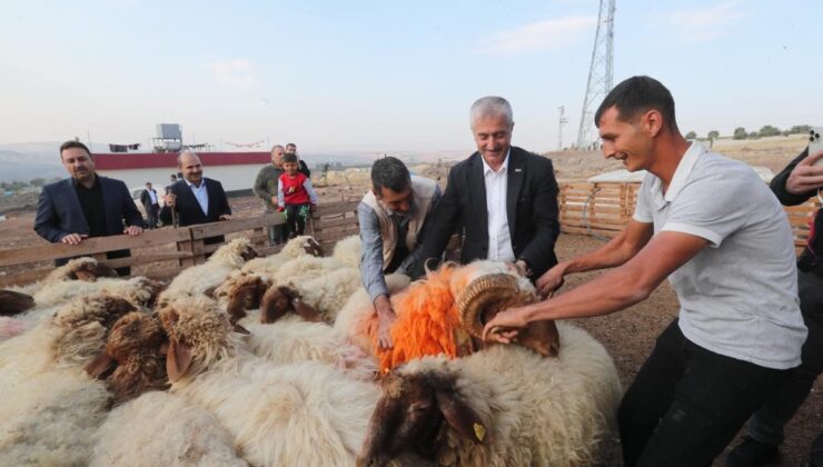 Tahmazoğlu “Hayvancılığa desteğimiz sürecek”