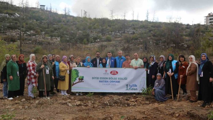 TDV “1 İyilik 1 Fidan” kampanyasıyla yıl sonuna kadar 800 bin fidan dikecek