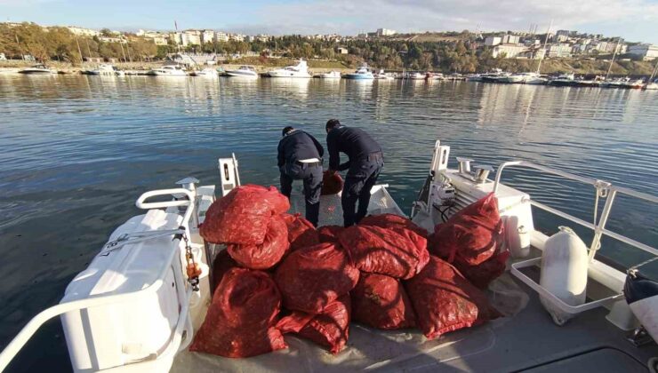 Tekirdağ’da 1,5 ton karakıllı midye ele geçirildi