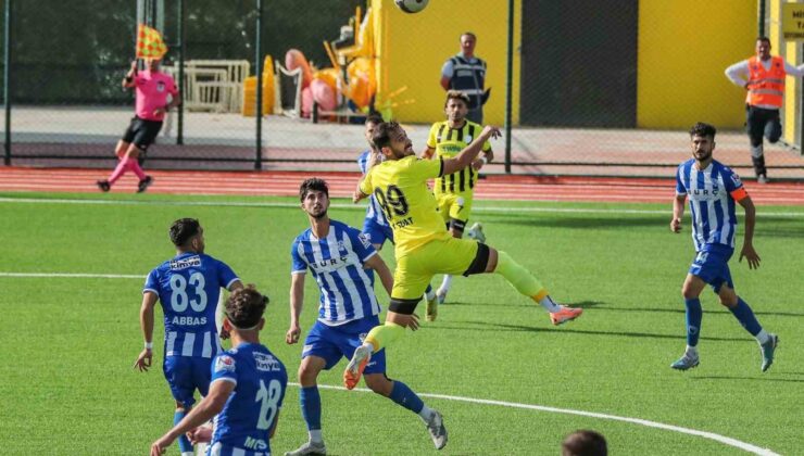 TFF 3. Lig: Aliağaspor FK: 1 – Malatya Arguvanspor: 1