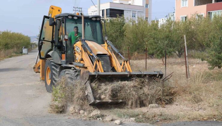 Toroslarda genel temizlik çalışması gerçekleştirildi