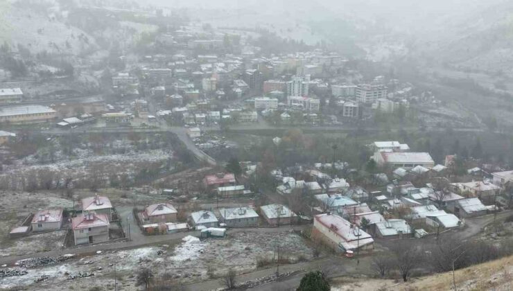 Tunceli’de kar yağışı hayatı olumsuz etkiledi