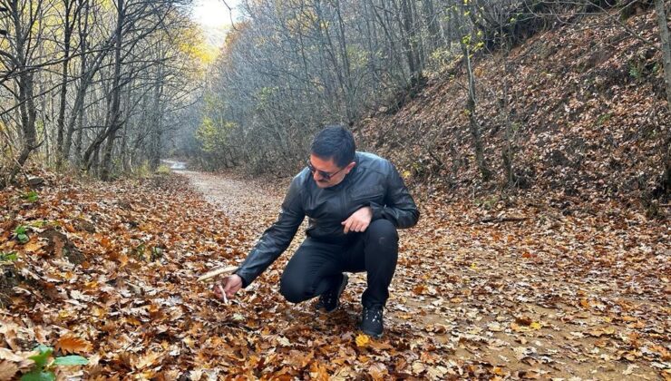 Vali Tekbıyıkoğlu, sonbahar güzelliğine bürünen Salördek’i ziyaret etti