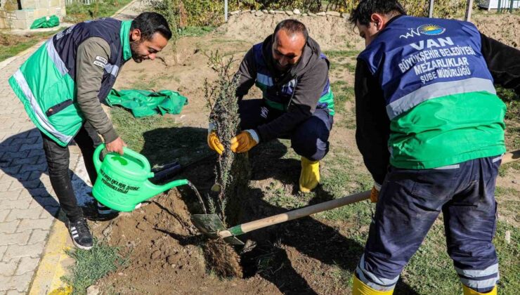 Van’daki 13 mezarlık alanına 3 bin 400 ağacın dikimine başlandı