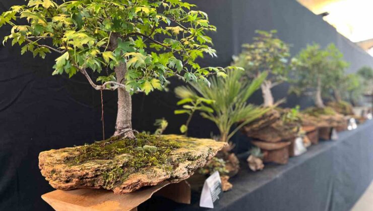 Yalova’da, 3. Uluslararası Bonsai Sempozyumu