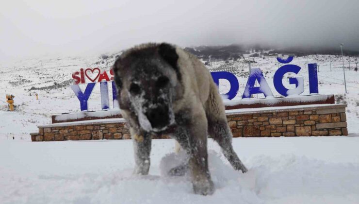 Yıldızdağı’nda kar kalınlığı 10 santimetreye ulaştı